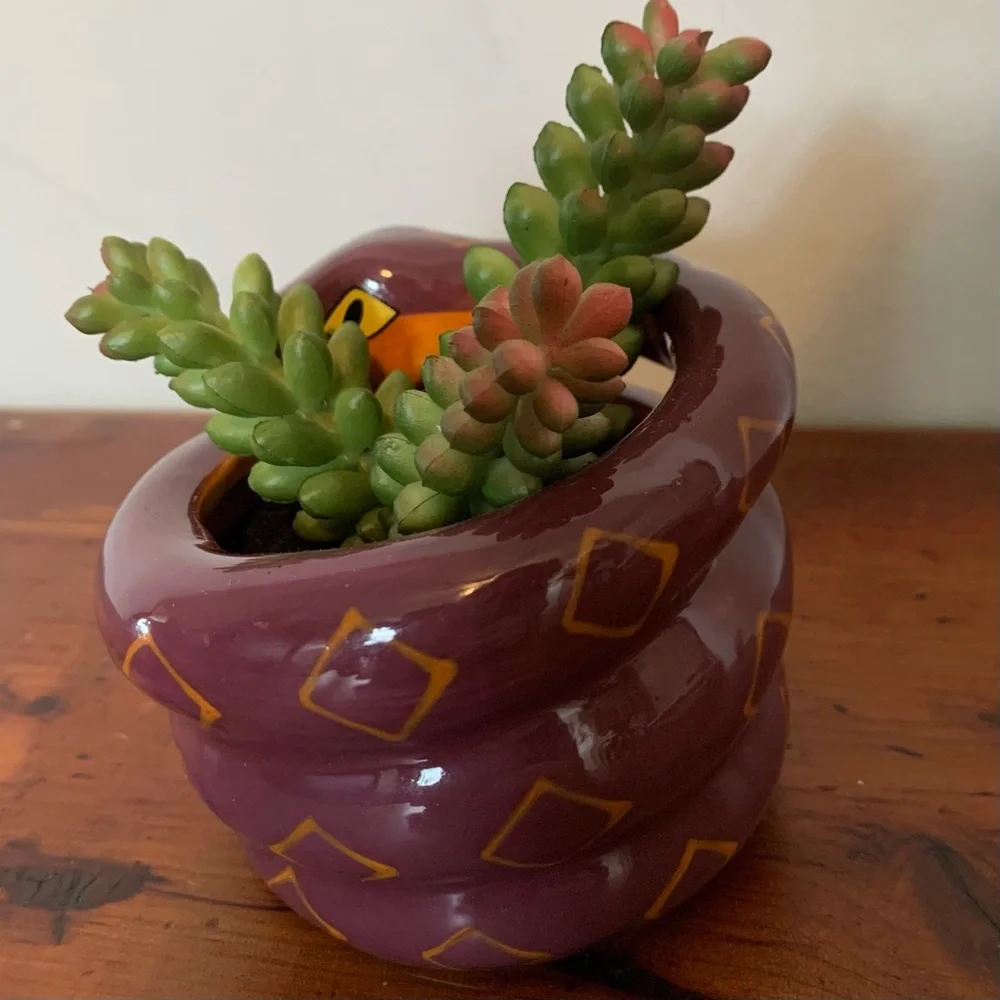 NIB Target Halloween Snake Succulent Planter